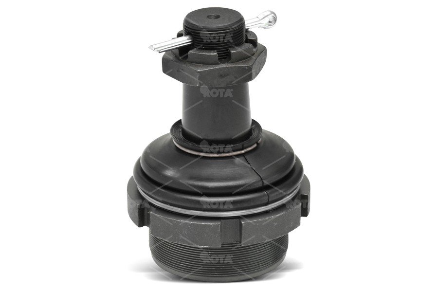 ROTA 20113137