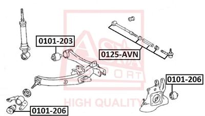 ASVA 0125-AVN