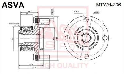 ASVA MTWH-Z36