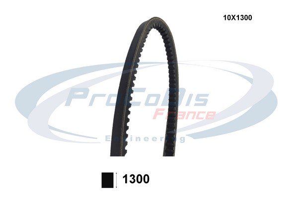 PROCODIS FRANCE 10X1300