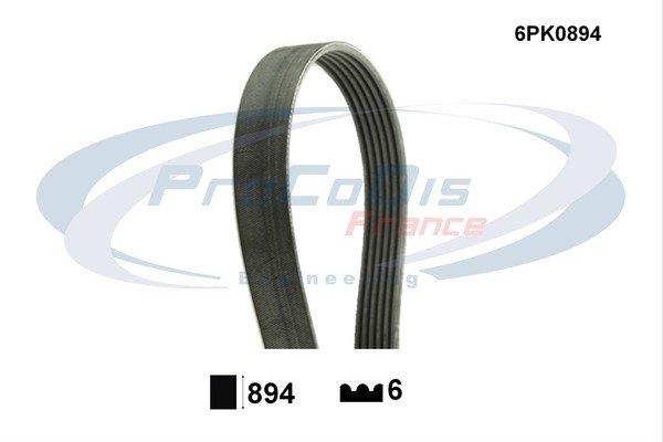 PROCODIS FRANCE 6PK0894