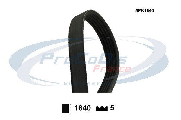 PROCODIS FRANCE 5PK1640