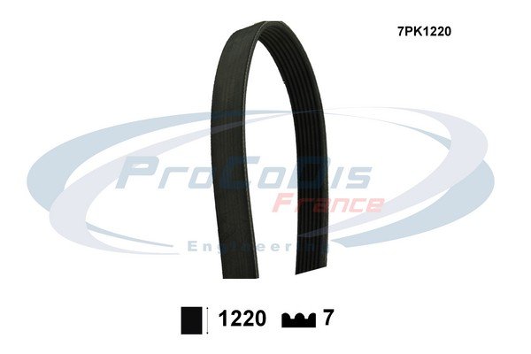 PROCODIS FRANCE 7PK1220