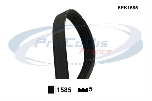 PROCODIS FRANCE 5PK1585