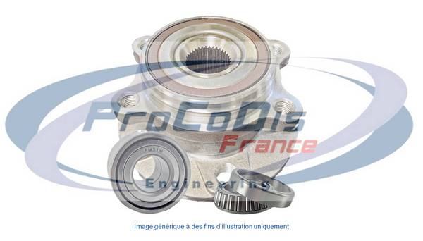 PROCODIS FRANCE R3010