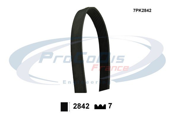 PROCODIS FRANCE 7PK2842