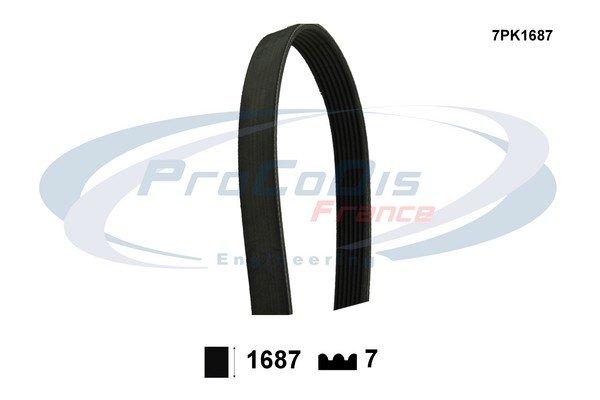 PROCODIS FRANCE 7PK1687