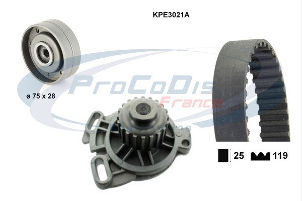 PROCODIS FRANCE KPE3021A