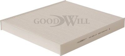 GOODWILL AG 383 CF