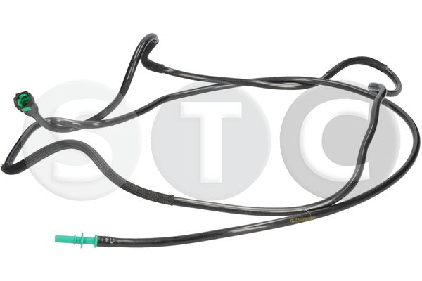 STC T492813