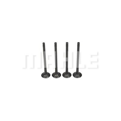 METAL LEVE VE0591472 METAL LEVE VE0591472