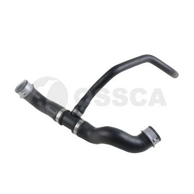 OSSCA 43595 OSSCA 43595