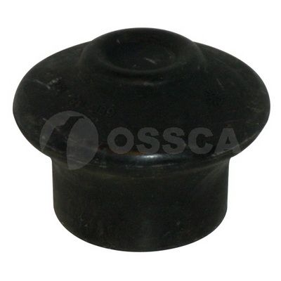 OSSCA 02731