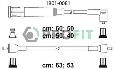 PROFIT 1801-0081