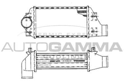 AUTOGAMMA 101482