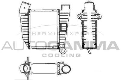 AUTOGAMMA 101937