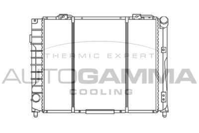 AUTOGAMMA 100020