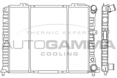 AUTOGAMMA 100022