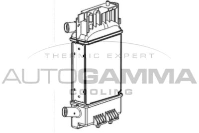 AUTOGAMMA 107576
