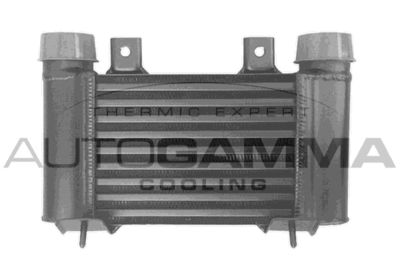 AUTOGAMMA 105823