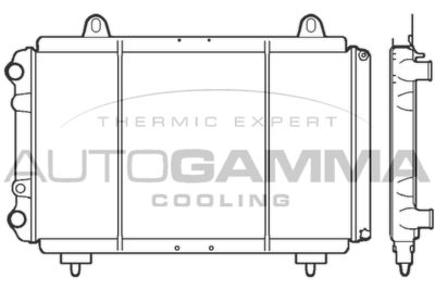 AUTOGAMMA 100035