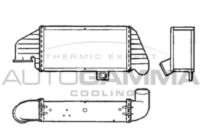AUTOGAMMA 101508