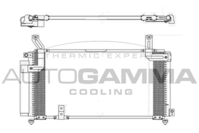 AUTOGAMMA 105972