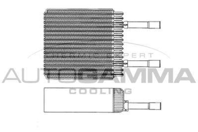 AUTOGAMMA 112101