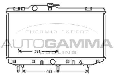 AUTOGAMMA 104869