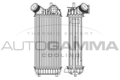 AUTOGAMMA 105911