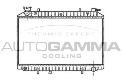 AUTOGAMMA 102200