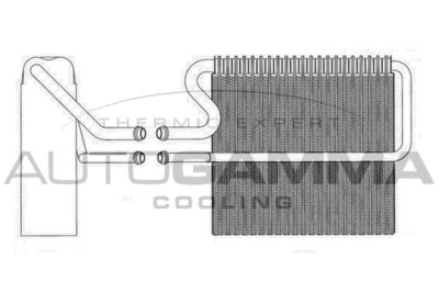 AUTOGAMMA 112187