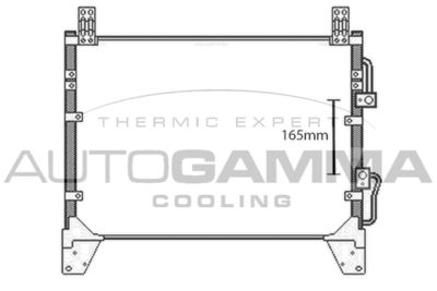 AUTOGAMMA 107974