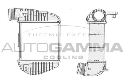 AUTOGAMMA 104405