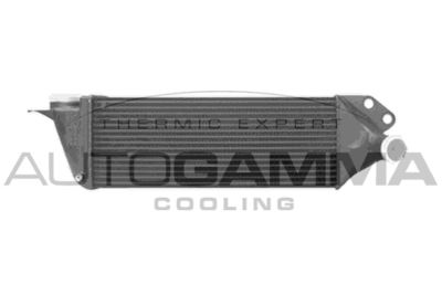 AUTOGAMMA 103748
