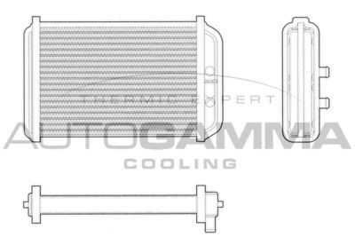 AUTOGAMMA 103111