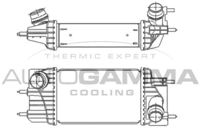 AUTOGAMMA 110019