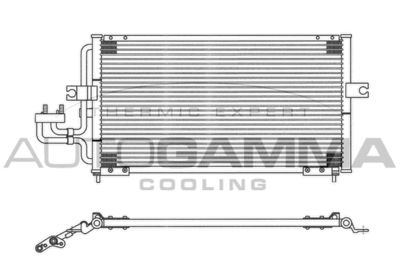 AUTOGAMMA 102886