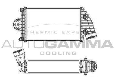 AUTOGAMMA 105453