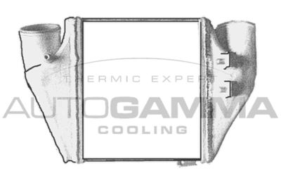 AUTOGAMMA 103883