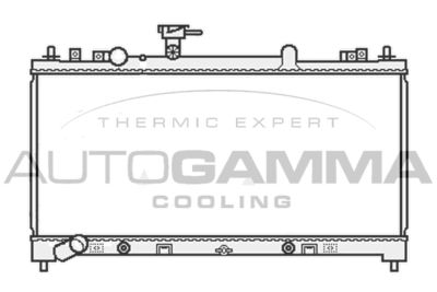 AUTOGAMMA 107039 AUTOGAMMA 107039