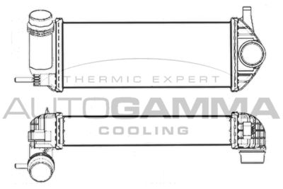 AUTOGAMMA 107525