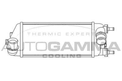 AUTOGAMMA 105947