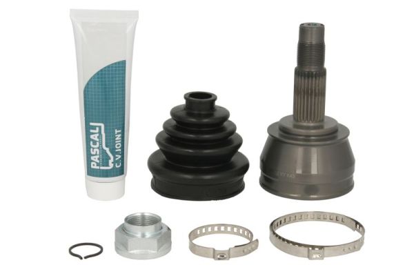 PASCAL G1F024PC PASCAL G1F024PC