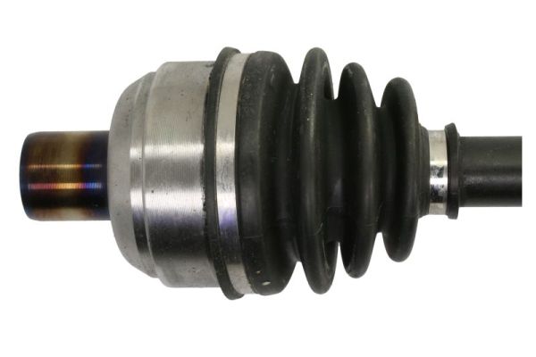 PASCAL G2X066PC PASCAL G2X066PC