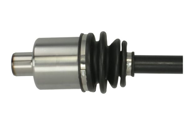 PASCAL G2X066PC PASCAL G2X066PC