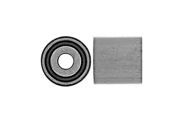 SKF Brazil VKM 21004