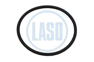 LASO 20074501 LASO 20074501