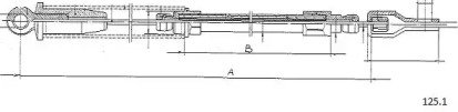 CABOR 125.1 CABOR 125.1