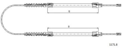 CABOR 1171.8